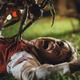 Illustration for article titled A charming romance gets menaced by giant wasps in iStung/i